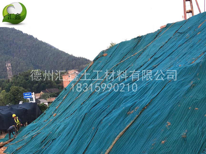 湖南株洲醴陵市山體護(hù)坡(圖1)