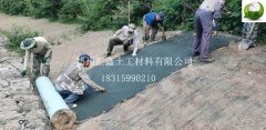 抗沖生物毯的護(hù)坡特點(diǎn)